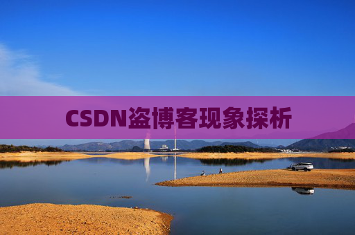CSDN盗博客现象探析 CSDN盗博客现象探析